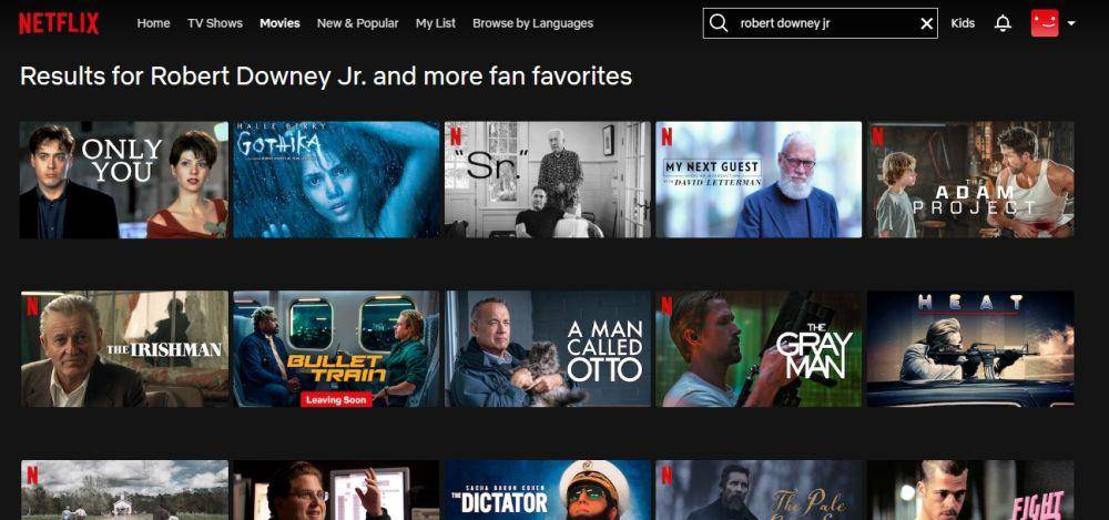 ilustrasi mencari film dengan nama aktor di Netflix (dok. Netflix)