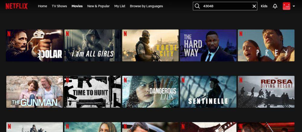 ilustrasi mencari film dengan kode rahasia di Netflix (dok. Netflix)