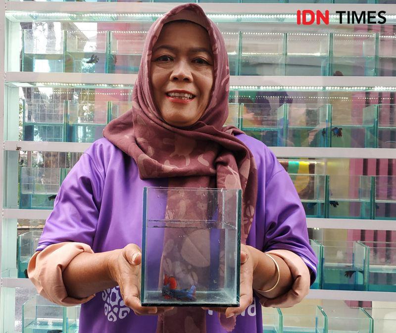 Cupang dari Desa Baros Ramaikan Keseruan Pildun U-17 di Jalak Harupat