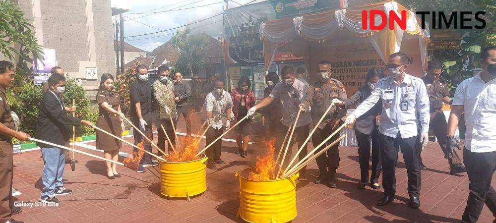 Kejari Tabanan Musnahkan 1 Kg Ganja, Disaksikan Siswa SMP