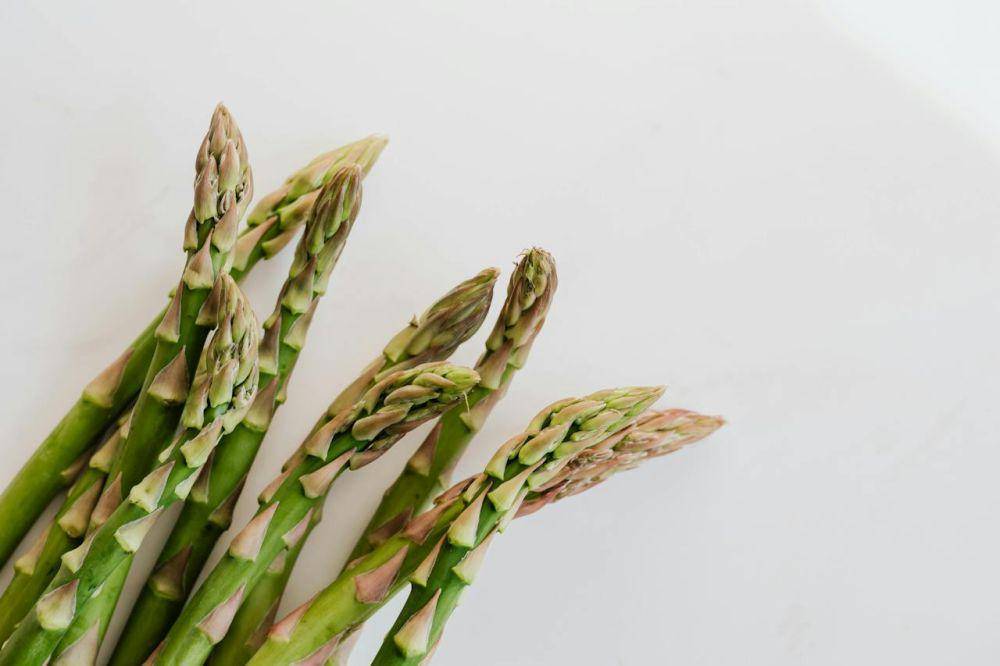 ilustrasi asparagus (pexels.com/Karolina Grabowska)