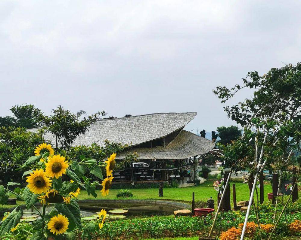 Camp Hulu Cai (instagram.com/camphulucai.chc)