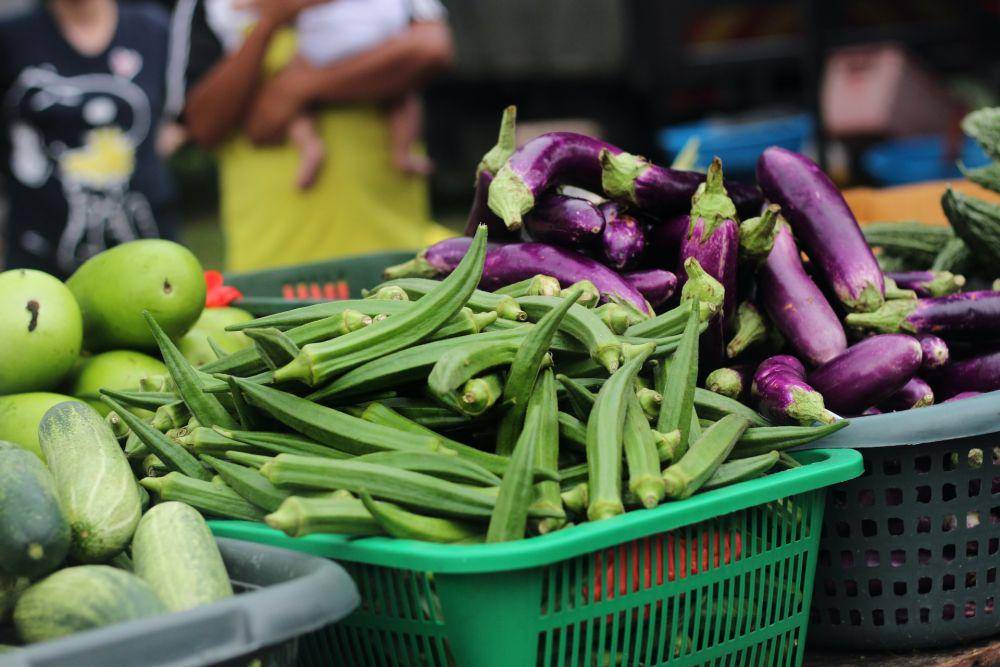 ilustrasi okra dan terong (unsplash.com/Esperanza Doronila)