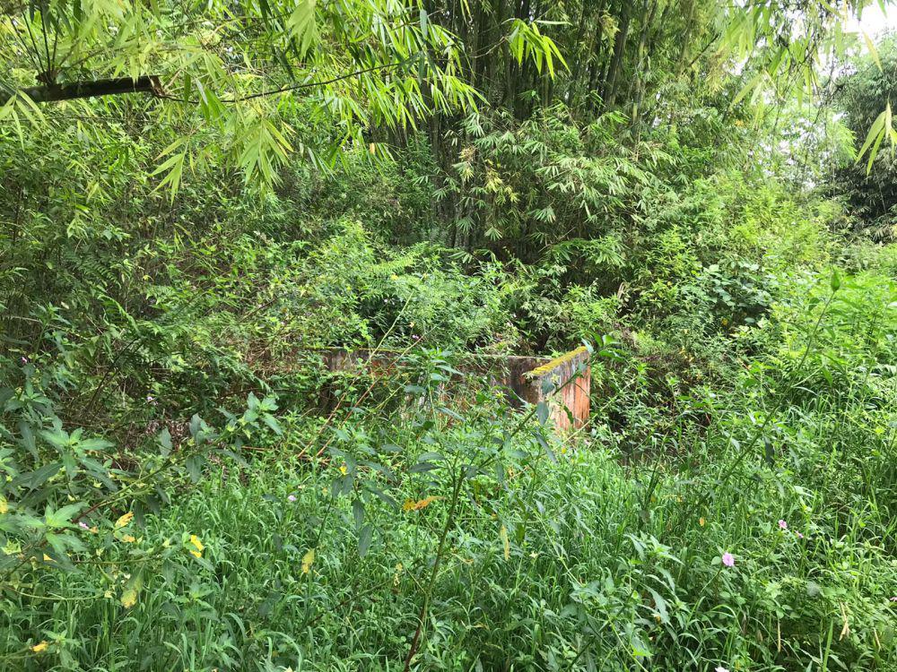 Batu Air Pemanggil Hujan, Legenda Mistik di Kaki Gunung Singgalang