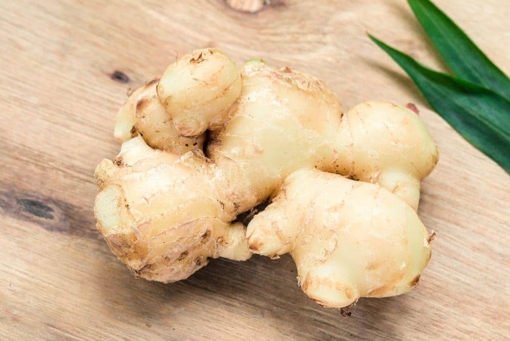 Jahe segar berwarna kuning muda dengan kulit tipis diletakkan di atas permukaan kayu bersama daun hijau di sampingnya.