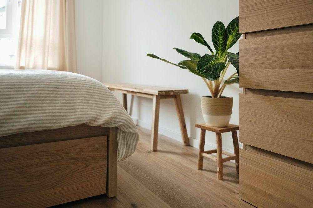 ilustrasi penempatan tanaman Calathea di kamar (unsplash.com/Thanos Pal)