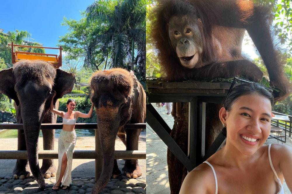 9 Potret Seru Shenina Cinnamon Liburan di Bali Zoo, Main bareng Satwa!