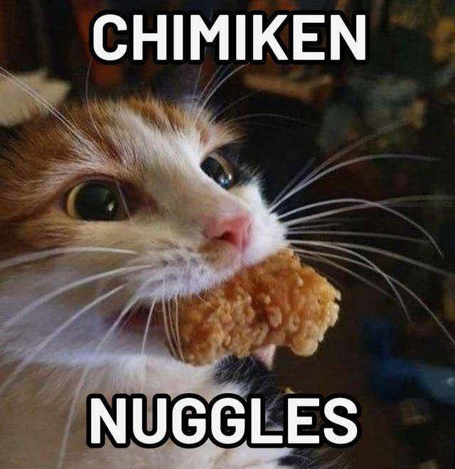 Meme kocak kucing tentang makanan (reddit.com/user/Stargazer-2893)