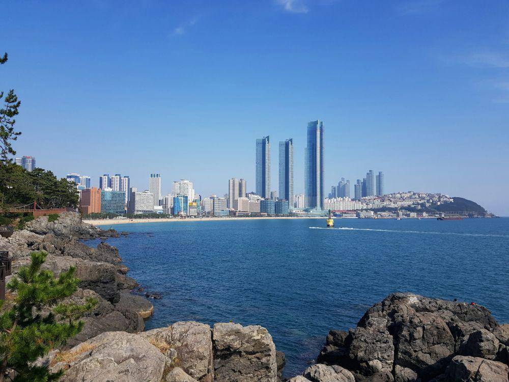 ilustrasi kota Busan, Korsel (Unsplash.com/Ahalya Suresh)