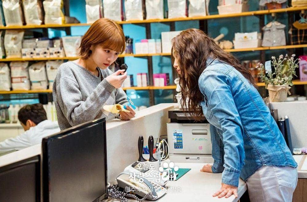 Park Gyu Young dan Ryu Abel di drama A Good Day to Be a Dog (instagram.com/mbcdrama_now)