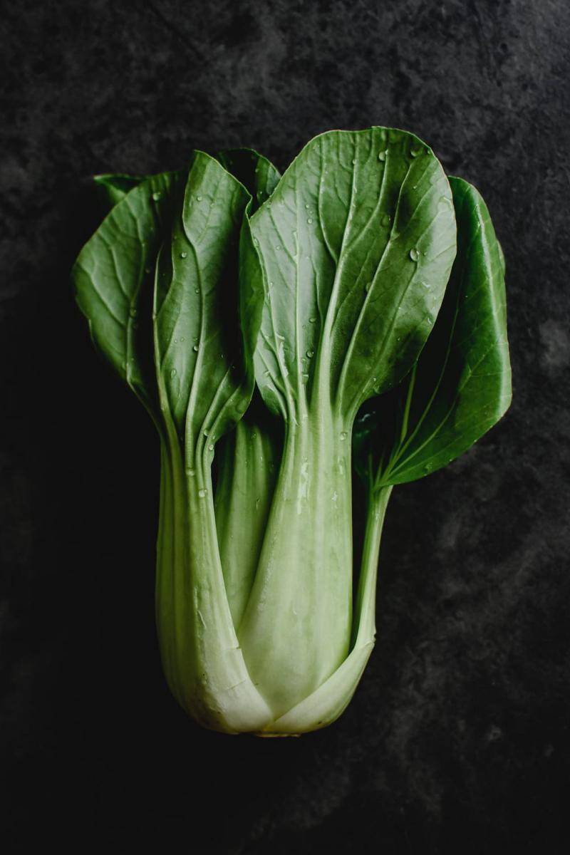 ilustrasi sayur pakcoy (pexels.com/Eva Bronzini)