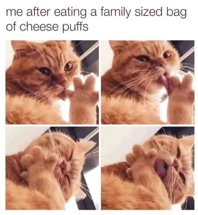 Meme kocak kucing tentang makanan (reddit.com/user/catcurio)