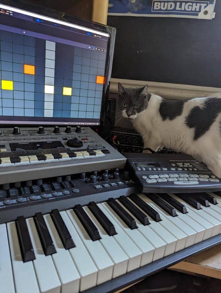 potret kucing belajar piano (reddit.com/mikec231027)