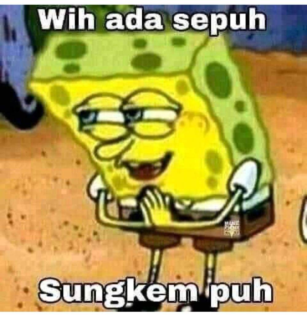 meme sepuh (instagram.com/random_memes.from_internet)