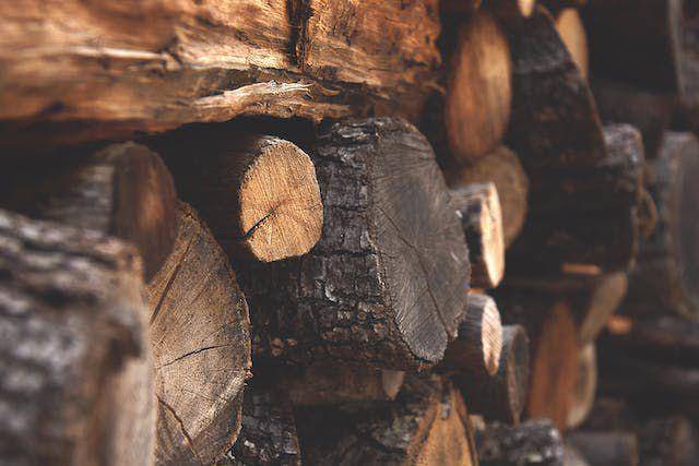 Ilustrasi notes parfum Wood (pexels.com/Maria Ilaria Piras)