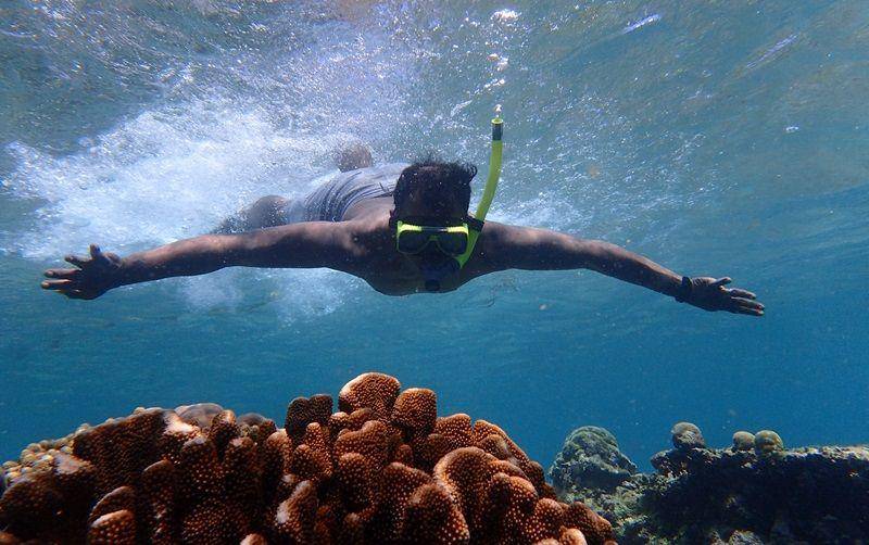 snorkeling di Pulau Menjangan (google.com/maps/Valentino Leo)