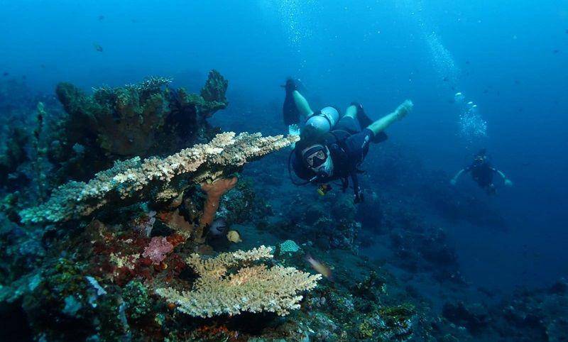 Tulamben, Bali (google.com/maps/Aqua Dive Paradise Tulamben Bali)