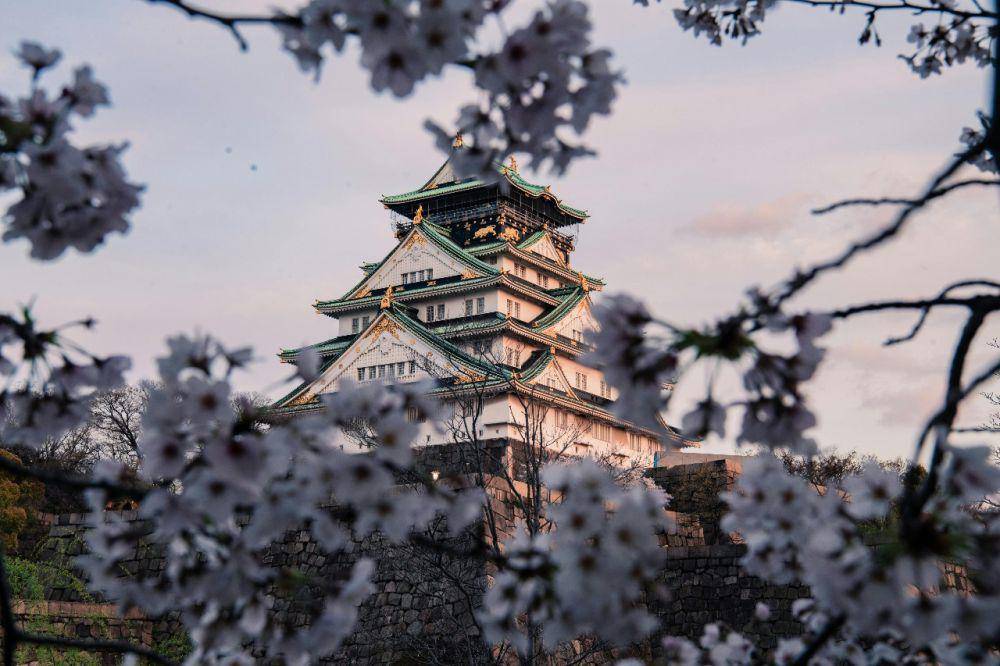 Musim dingin di Jepang (pexels.com/Satoshi Hirayama)