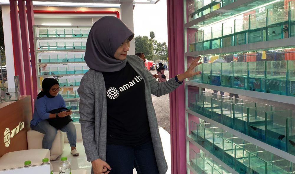 Bisnis Ikan Cupang Jadi Perhatian di Piala Dunia U-17 2023