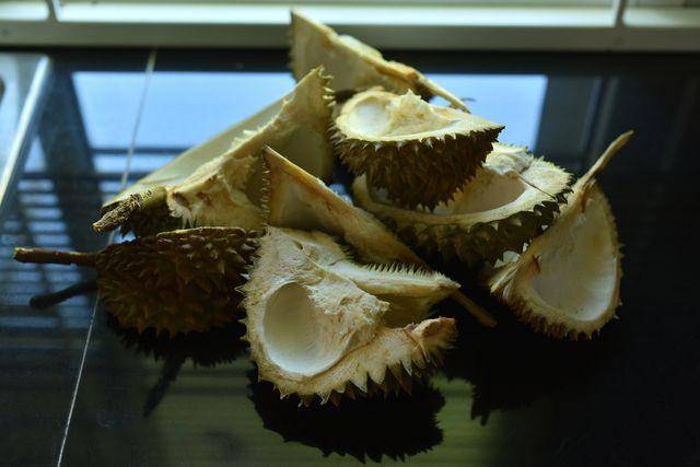 ilustrasi kulit durian (vecteezy.com/anocha98734355)
