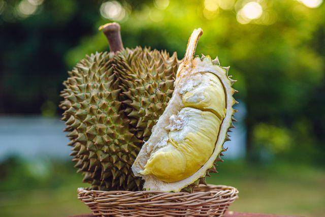 ilustrasi buah durian (vecteezy.com/Tanarat Kongchuenjit)