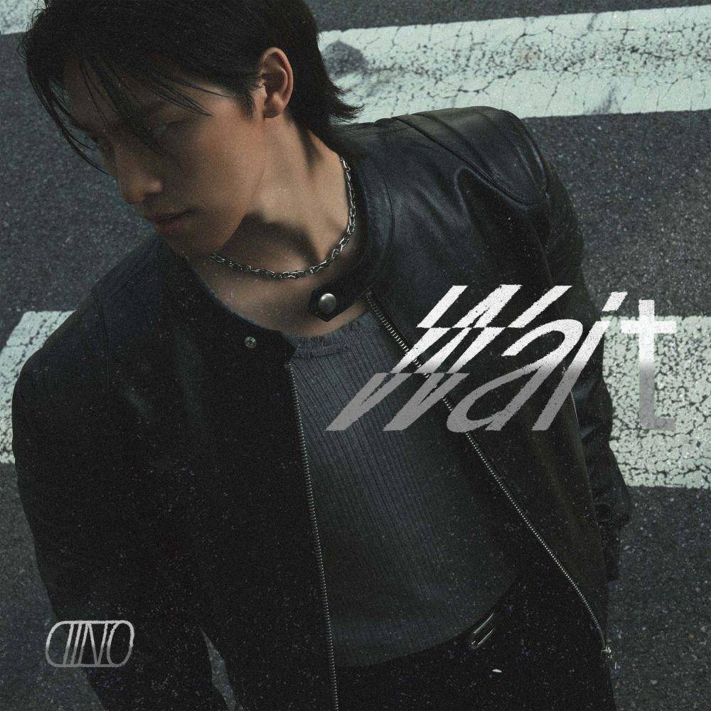 poster lagu "Wait" (soundcloud.com/pledis_seventeen)