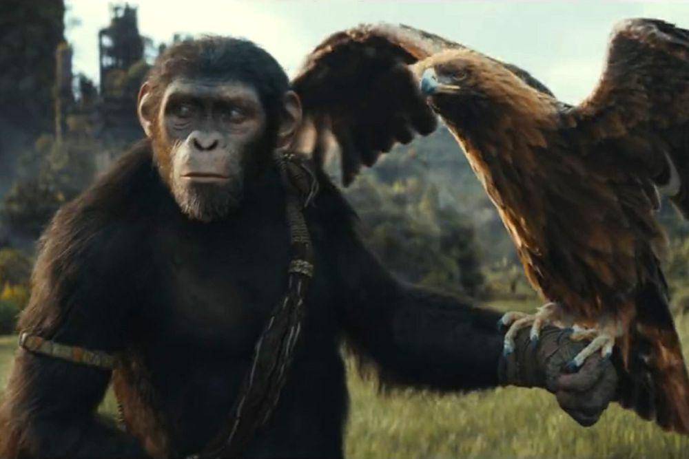 cuplikan film Kingdom of the Planet of the Apes (dok. 20th Century Studios/Kingdom of the Planet of the Apes.)