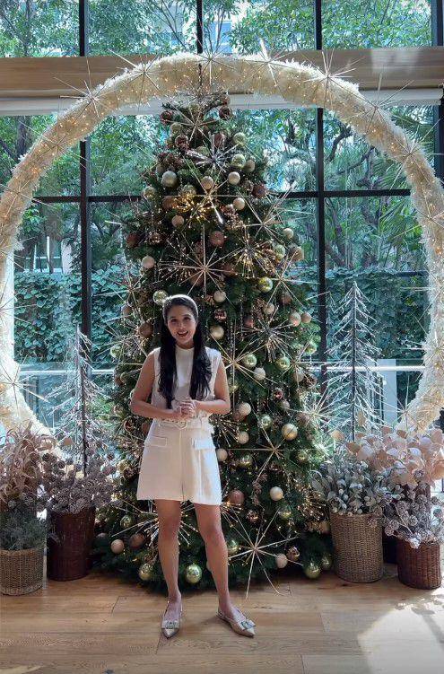 pohon Natal Sandra Dewi (Instagram.com/sandradewi88)
