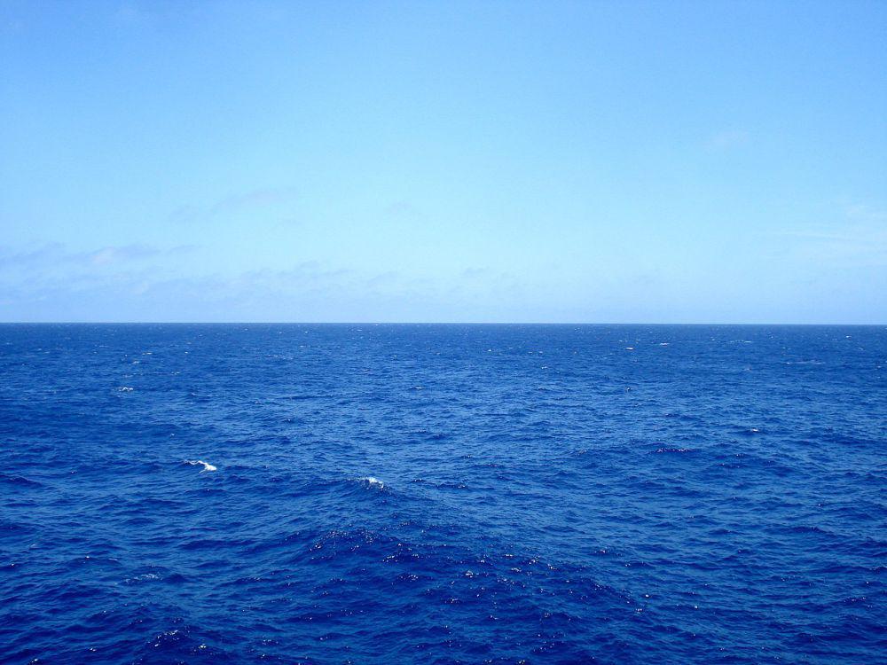 5 Fakta Laut Sargasso, Satu-satunya Laut Tanpa Daratan di Dunia