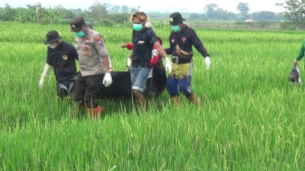 Cekcok dengan Istri, Seorang Pria di Ngawi Ditemukan Tewas di Sawah