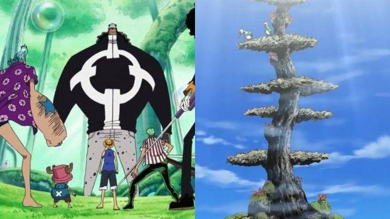 Toei Animation/One Piece