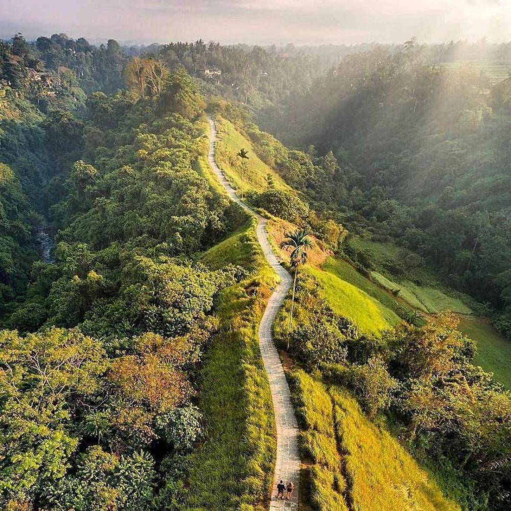 Campuhan Ridge Walk (instagram.com/ubudhood)
