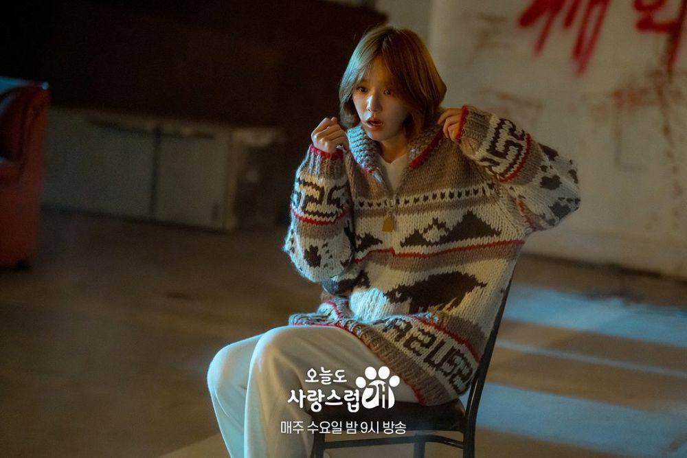 still cuts drama A Good Day to Be a Dog (instagram.com/mbcdrama_now)