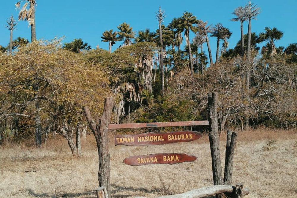 5 Taman Nasional Tertua di Indonesia, Salah Satunya Ada di Baluran