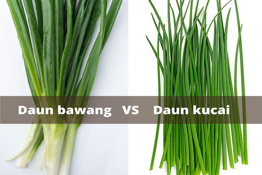 5 Perbedaan Daun Bawang dan Daun Kucai yang Sekilas Sama