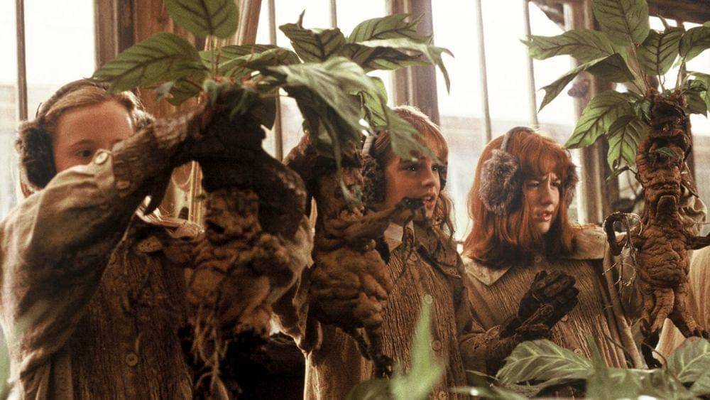 dok. Warner Bros/Harry Potter