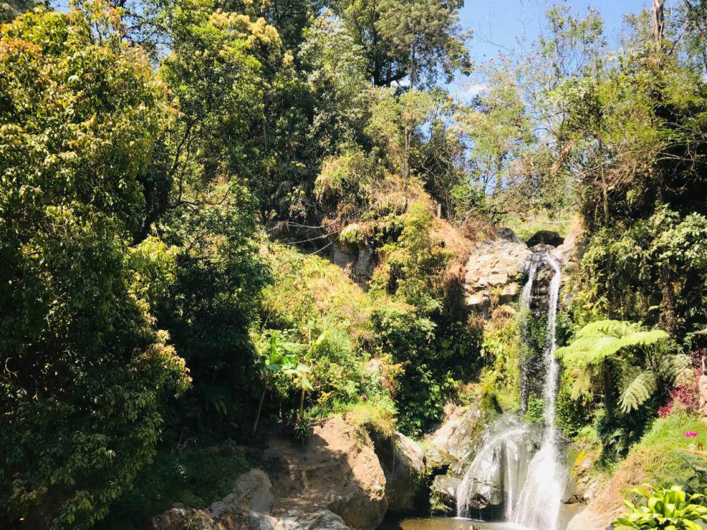 10 Curug Paling Indah di Tegal yang Siap Memanjakan Mata