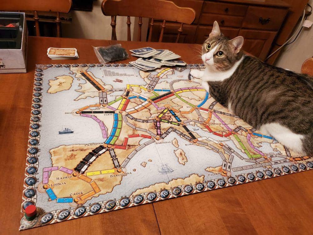 potret kucing tiduran di atas papan permainan (reddit.com/user/NiagaraNature)