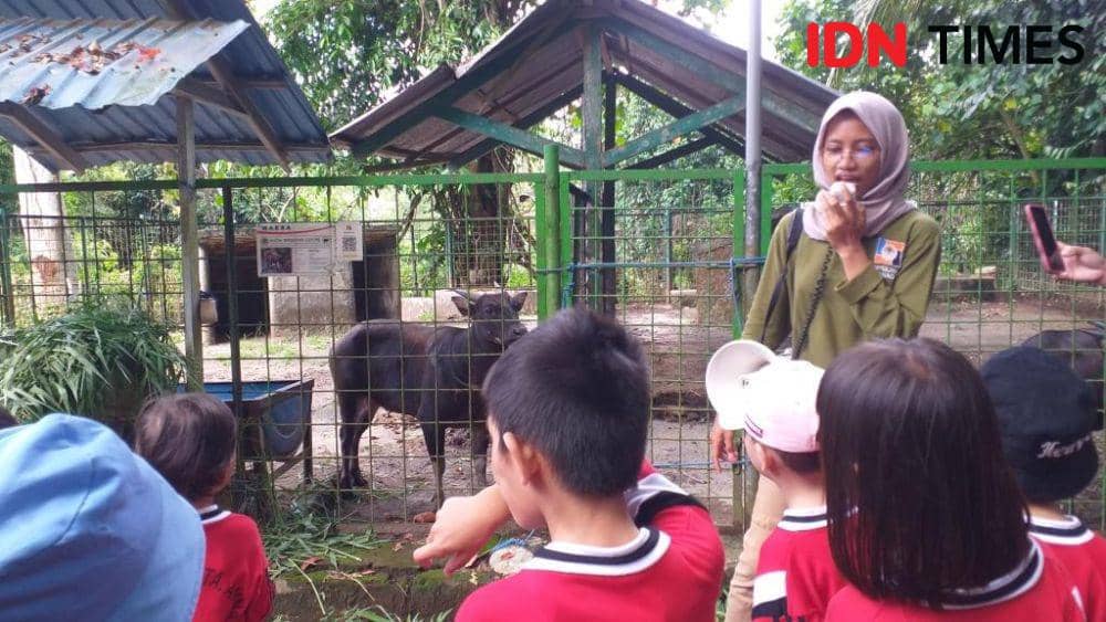 Siswa TK Katolik STA Anna Paniki Bawah Manado Belajar Mengenal Anoa