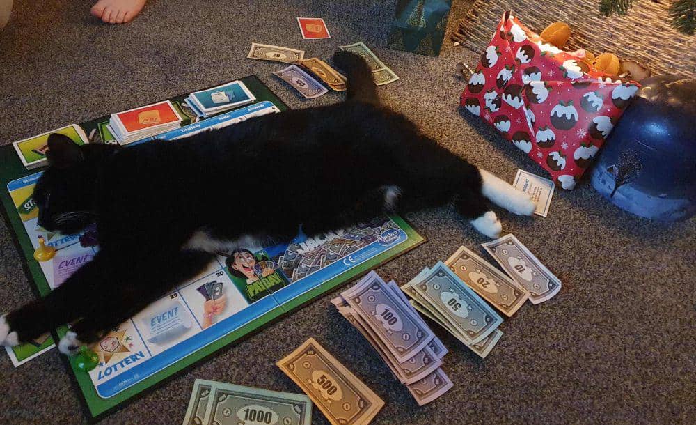 potret kucing tiduran di atas papan permainan (reddit.com/user/Ploppo_Joppo)