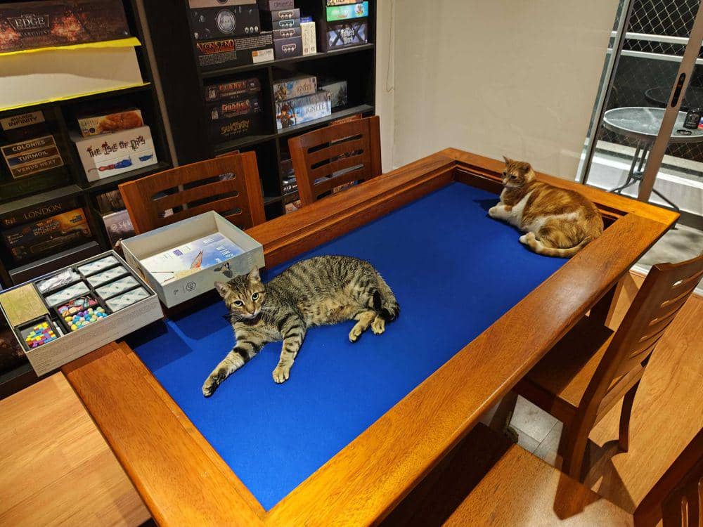 potret kucing tiduran di atas papan permainan (reddit.com/user/carlosisonfire)