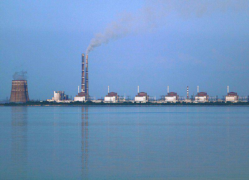 potret PLTN Zaporizhzhia yang berada di Ukraina dari kejauhan (commons.wikimedia.org/Ralf1969)