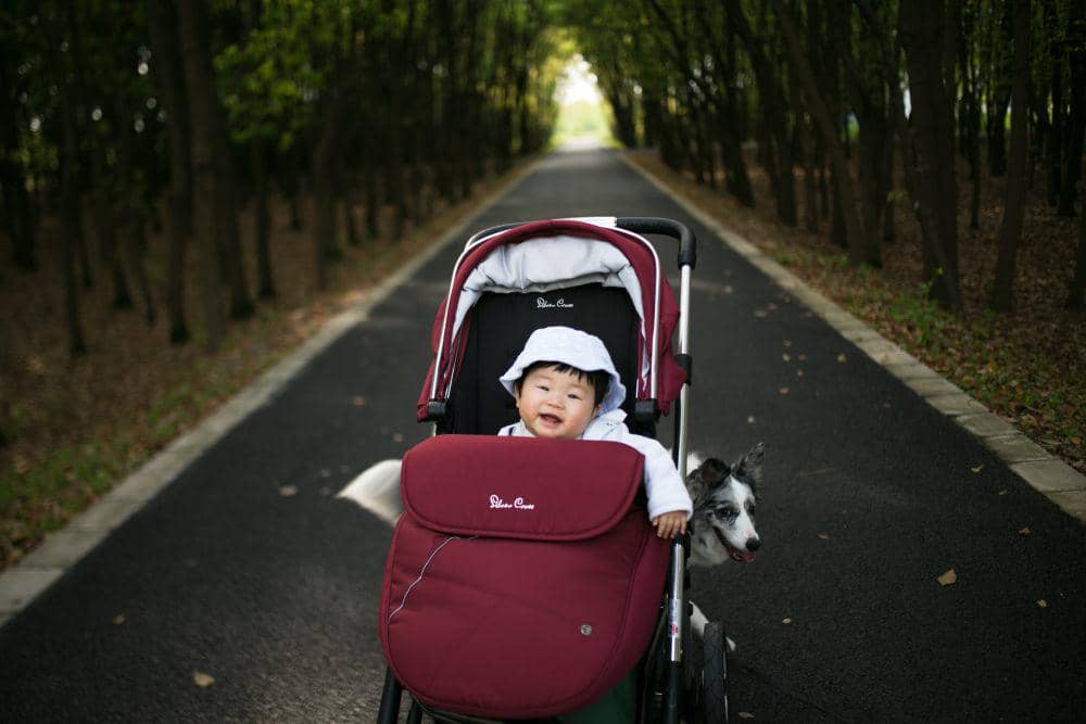 Ilustrasi stroller bayi dengan kursi, kanopi, pegangan dorong, dan roda untuk membawa anak saat bepergian bersama keluarga.