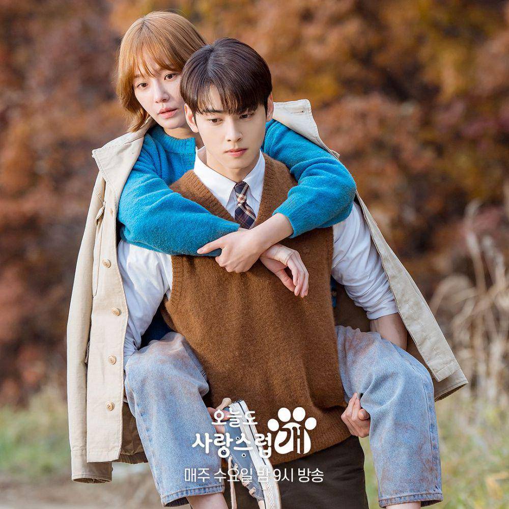 cuplikan drama A Good Day to Be A Dog (instagram.com/mbcdrama_now)