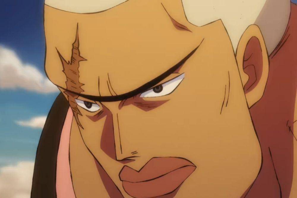 Toei Animation/One Piece