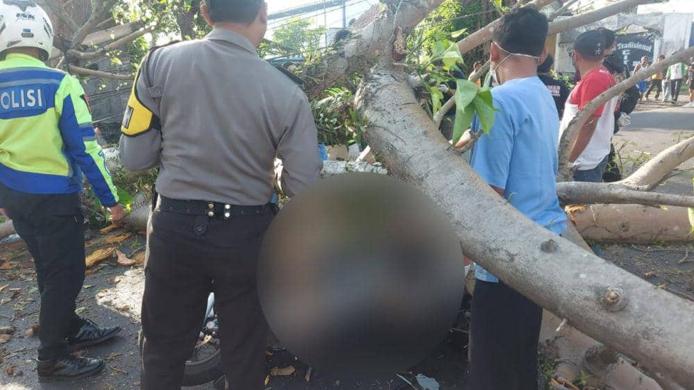 2 orang tewas karena tertimpa pohon saat berkendara. (Dok. Humas Polres Malang)