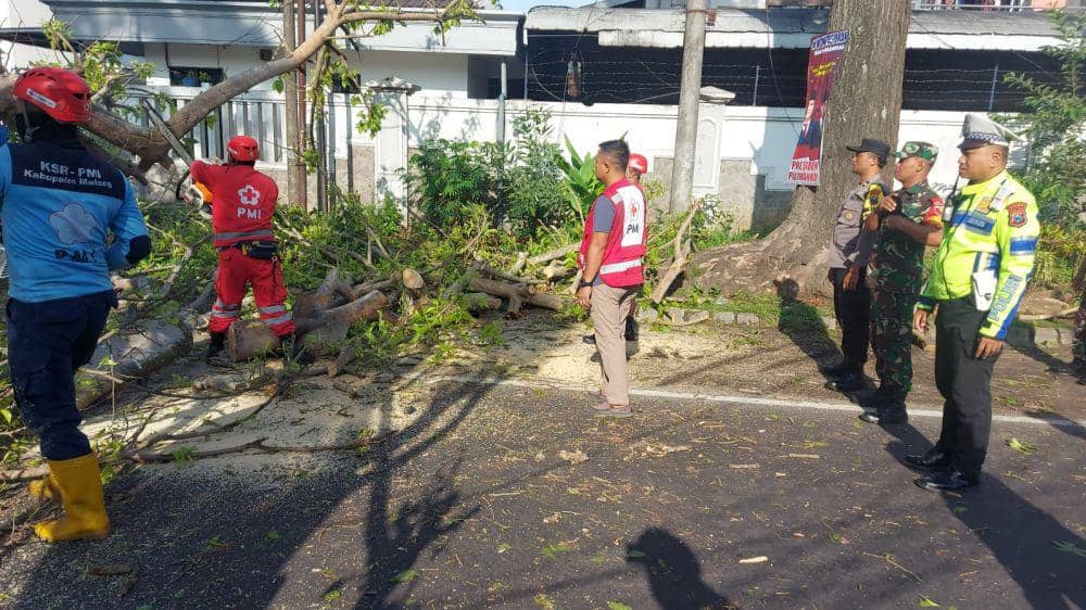 Evakuasi pohon yang menyebabkan 2 pemotor tewas di Malang. (Dok. Humas Polres Malang)