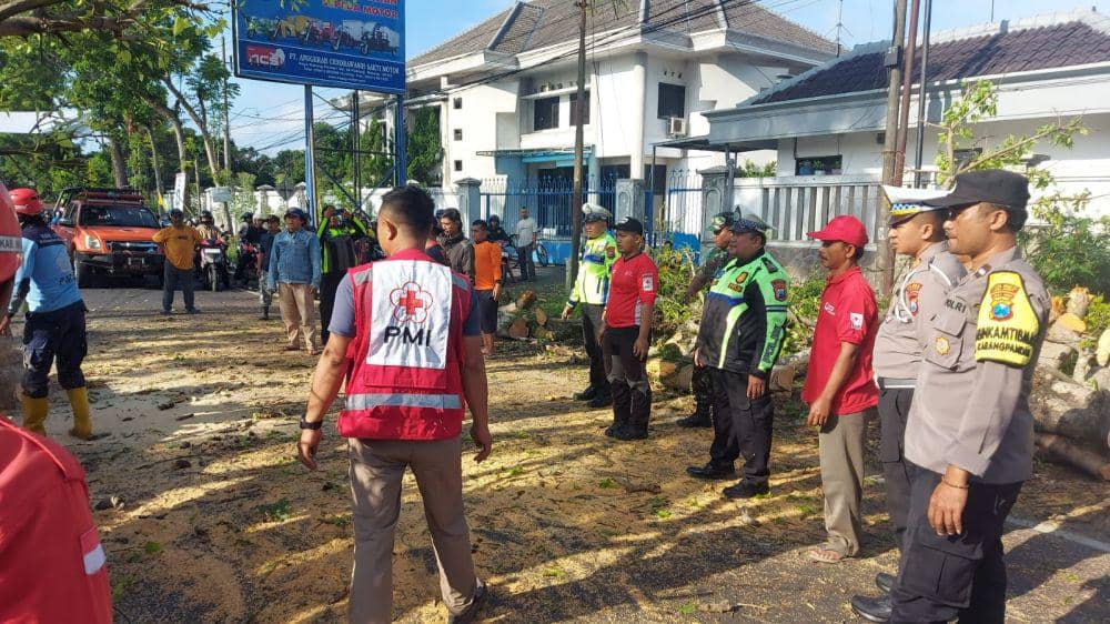 Evakuasi pohon yang menyebabkan 2 pemotor tewas di Malang. (Dok. Humas Polres Malang)