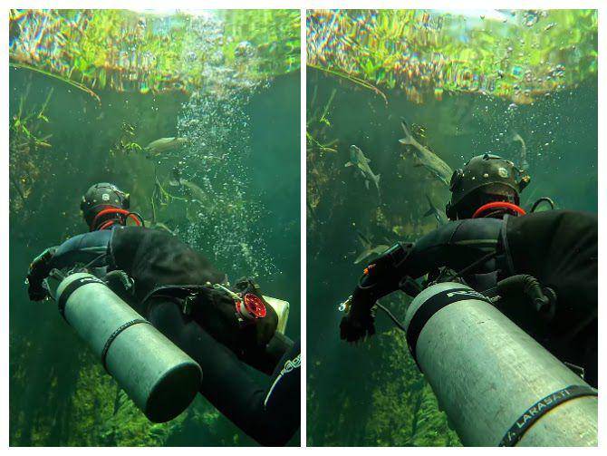 potret Kirana Larasati saat diving di Mexico (instagram.com/kiranalarasati)