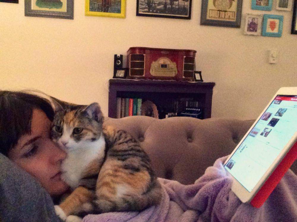 potret anabul ganggu majikannya kerja (reddit.com/user/floofysnoot)